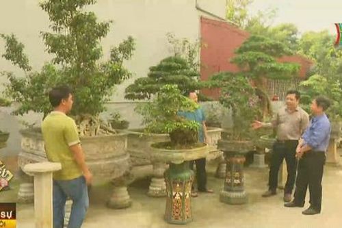 Thú chơi sinh vật cảnh ngày xuân