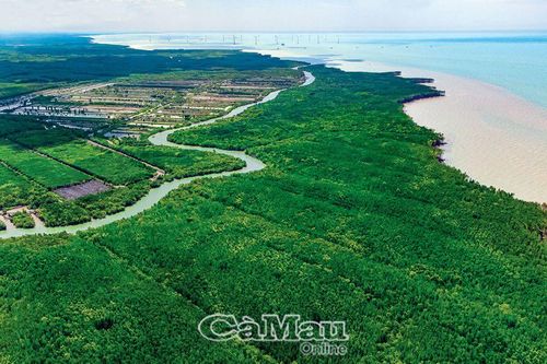 Nơi phù sa hội tụ