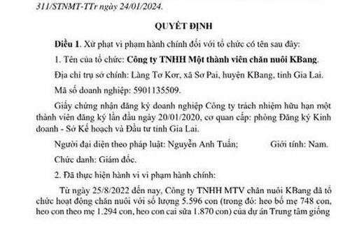 Bị phạt 320 triệu đồng vì làm trang trại nuôi heo không có giấy phép môi trường