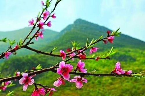 Một mùa xuân nho nhỏ