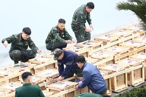 Cận cảnh công tác lắp đặt các giàn pháo hoa đêm giao thừa ở Thủ đô