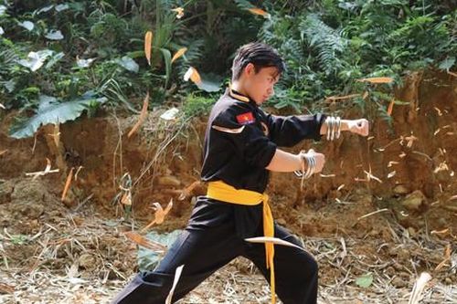 Hình tượng rồng bao trùm võ cổ truyền