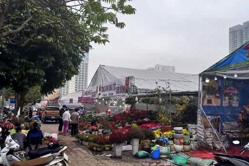 Hà Nội yêu cầu xử nghiêm vụ tự xưng công an Hà Nội để thu phí 'lốt' bán cây cảnh Tết giá cao