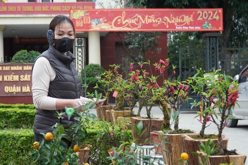 Tiểu thương Hà Nội ngậm ngùi bỏ lại cây nếu không bán hết trước 30 Tết