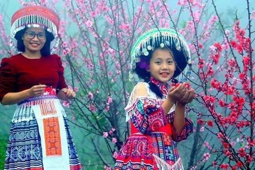 Hoa đào trong Ngày Tết cổ truyền của người Việt Nam
