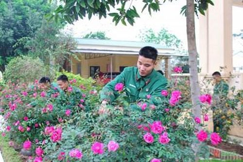 Xuân ấm áp, đủ đầy ở Sư đoàn 316