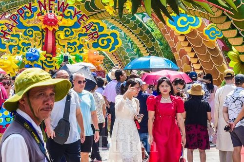 Du khách rộn ràng checkin Đường hoa 'săn rồng' sáng mồng 1 Tết