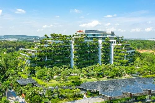 Việt Nam đang thiếu 'kiến trúc sư' tạo nền móng cho tăng trưởng xanh