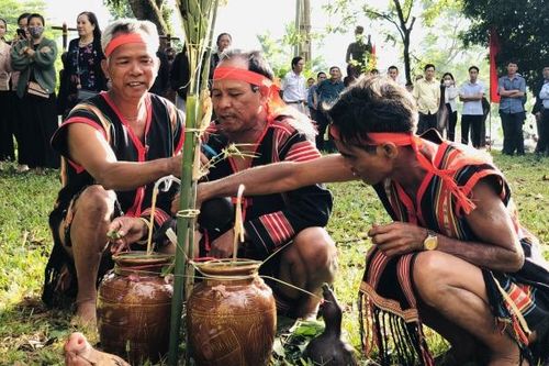 Xuân về bên mái nhà Rông