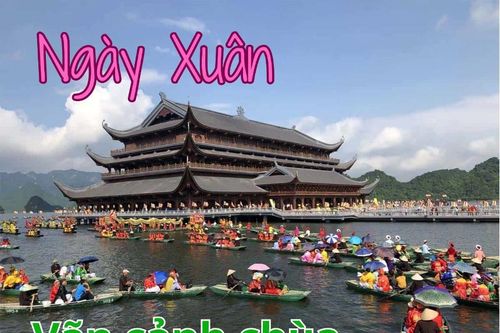 Ngày Xuân vãn cảnh chùa