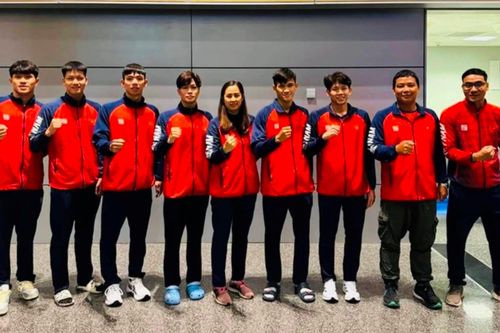 Đội tuyển bơi Việt Nam tự tin tham dự giải vô địch thế giới 2024