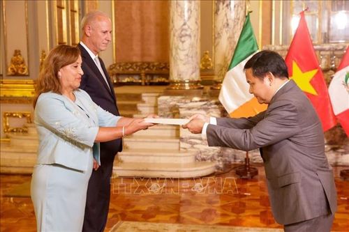 Nỗ lực thúc đẩy hơn nữa quan hệ Việt Nam - Peru