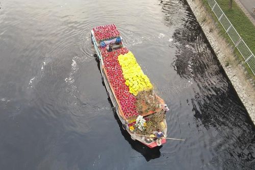 Tết thương hồ