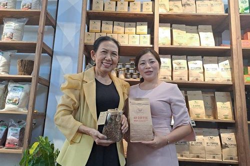 Khát vọng cà phê sạch của nữ doanh nhân phố núi