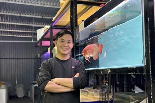 Khởi nghiệp từ 100 triệu đồng, 9x Hưng Yên có thu nhập hàng tỷ đồng/năm