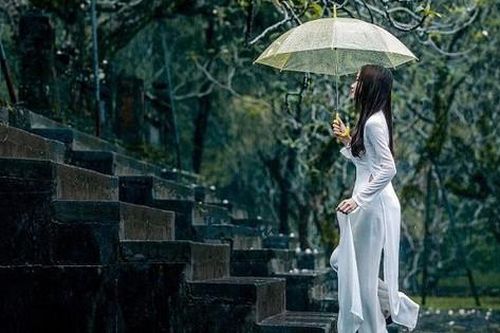Dịu dàng mưa xuân