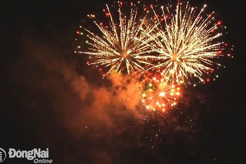 Pháo hoa rực rỡ chào đón thời khắc giao thừa trên bầu trời Xuân Lộc