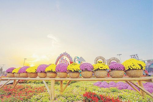 Sắc màu 'Tình đất - Tình hoa'