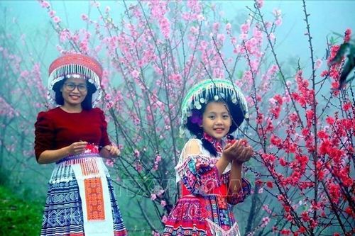 Hoa đào trong ngày Tết cổ truyền của người Việt