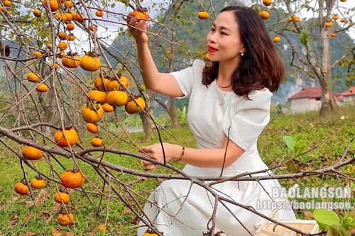 Khởi sắc từ những mô hình sản xuất nông nghiệp gắn với du lịch trải nghiệm