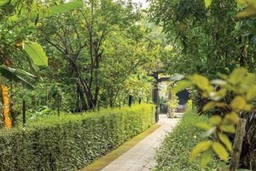 Xuân trong vườn Huế