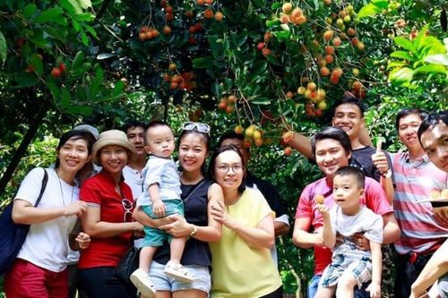 'Cỗ máy kiếm tiền' du lịch nông nghiệp đã bắt đầu vận hành