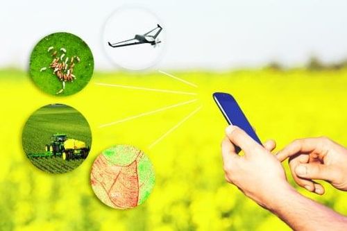 Ứng dụng AI: Doanh nghiệp gặp khó từ mô hình kinh doanh