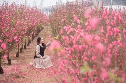 Mùng 1 Tết, miền Bắc trời rét đậm, rét hại, trưa và chiều hửng nắng
