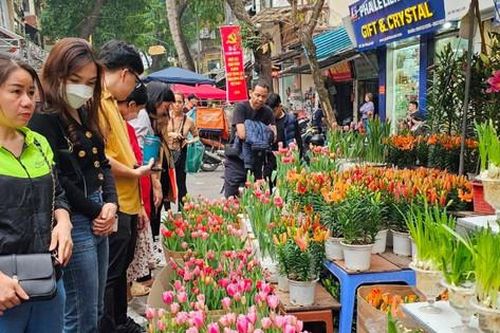 Tết trong những điều giản dị