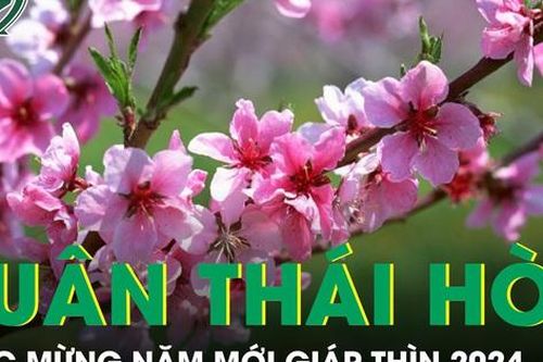 Xuân Thái Hòa - Chào năm mới Giáp Thìn 2024