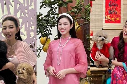Đón Tết Giáp Thìn rực rỡ cùng các nàng hậu Việt, sắc màu nào được yêu thích nhất?