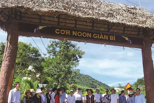 Tươi nắng Cơ Tu