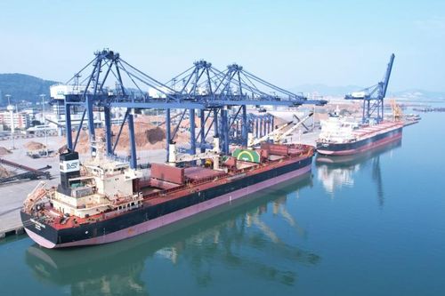 Quảng Ninh: Tàu quốc tế bốc xếp 108.000 tấn hàng tại cảng Cái Lân