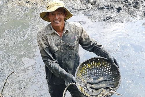 Về quê tát đìa ăn Tết