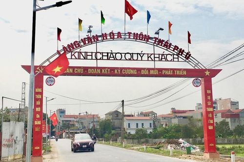 Huyện Sóc Sơn: Niềm vui Xuân ở 'xã điểm' nông thôn mới
