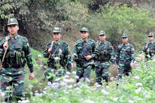 'Chim ưng' sa lưới