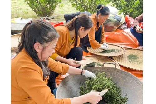Thương nhớ vị trà sao suốt chảo gang