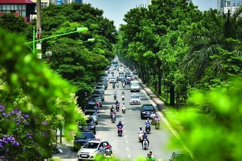 Chuyển đổi xanh không chỉ là lựa chọn mà là yêu cầu bắt buộc