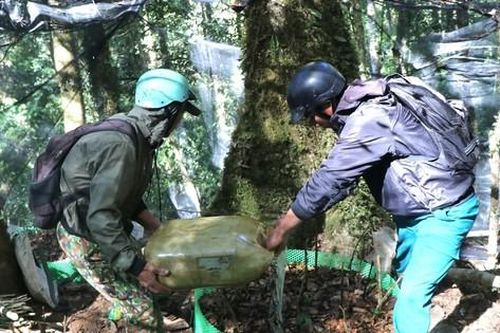 Người Xơ Đăng băng rừng gánh nước tưới cho 'quốc bảo'