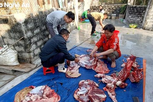 Người dân Nghệ An rộn ràng đụng lợn ngày Tết