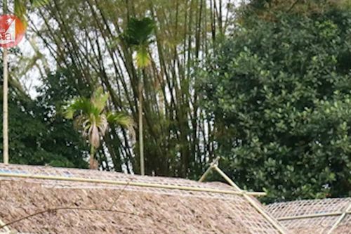 Điểm tin ngày 11/2