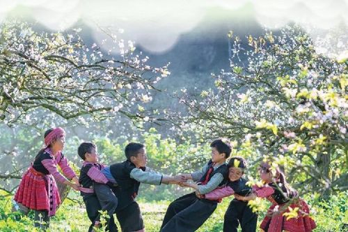 Những điểm đến ngắm hoa dịp Xuân về ở các tỉnh miền Bắc
