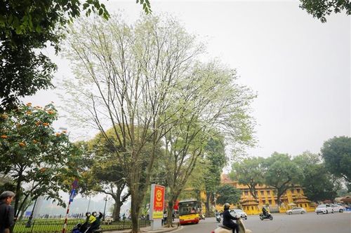 Chùm thơ của nhà thơ Đỗ Chiến Thắng