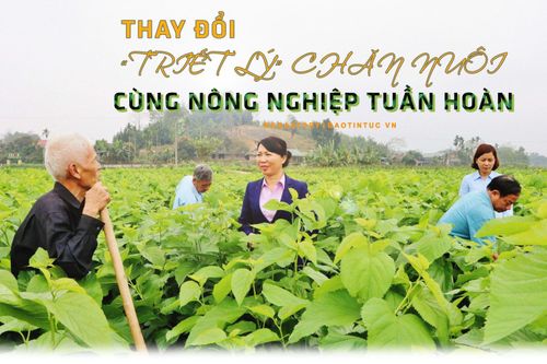 Thay đổi 'triết lý' chăn nuôi cùng nông nghiệp tuần hoàn