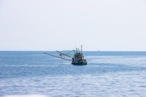 Thái Lan hạn chế đánh bắt cá thương mại trên Vịnh Thái Lan
