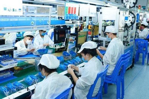 Thị trường lao động: Tín hiệu tích cực đầu năm mới