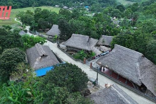 Trái ngọt nông thôn mới và OCOP: Nối dài những thành tựu