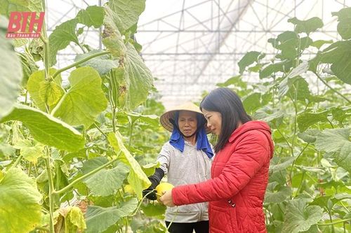 Nga Sơn vững tin bước vào xuân mới
