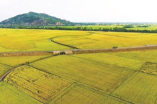 Tản mạn cung đường đẹp ở An Giang