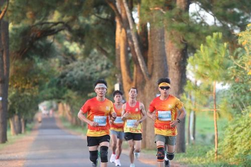 'Mỏ vàng' của du lịch Gia Lai